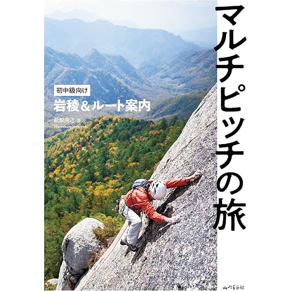 【絶版本】薮岩魂 ハイグレード・ハイキングの世界 Amazon.co.jp: 薮岩魂―ハイグレード・ハイキングの世界― (ヤマケイ文庫